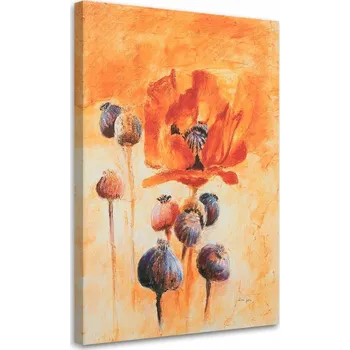 Obraz OBRAZ NA PLÁTNĚ Vlčí máky Květ Červená Příroda 80x120