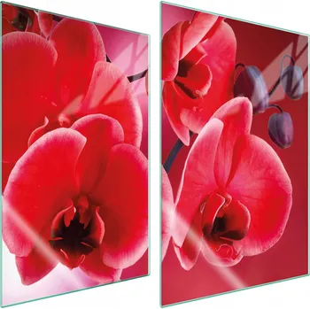 Obraz Krájecí deska TMK ArtDeko sklo 2 ks