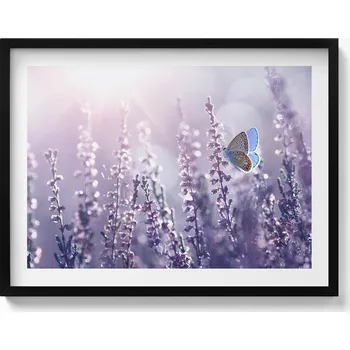 Obraz Ozdobný nástěnný obraz v rámu s grafikou Motýl na lučních květech 80x60 cm