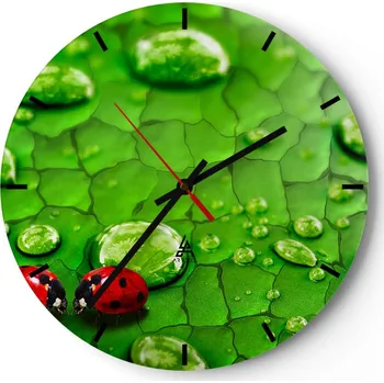 Hodiny Velké nástěnné hodiny na zeď 40x40 Natura Skleněné hodiny Kulatý Tiché