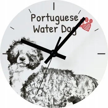 Hodiny Nástěnné hodiny Art-Dog bílé 20 cm