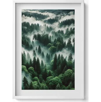 Obraz Ozdobný nástěnný obraz v bílém rámu Krajina ranní mlha v lese 50x70 cm