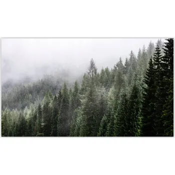 Kuchyňské prkénko Skleněná Ochranná Deska a Krájecí Prkénko | Indukce, Sporák ds-0139