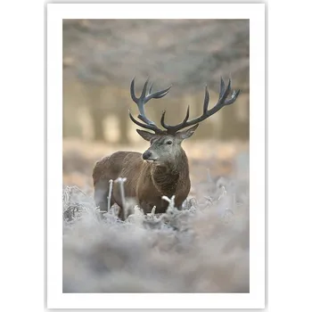 Obraz Plakát bez rámu do obýváku ložnice 50x70 krajina moderní módní obraz