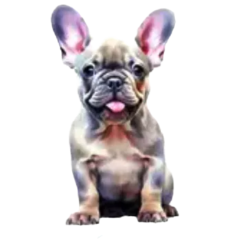 samolepka Samolepky - psí kamarádi VI (sada 5 ks)