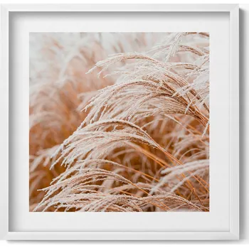 Obraz Ozdobný nástěnný obraz v bílém rámu Jemné trávy v boho stylu 50x50 cm