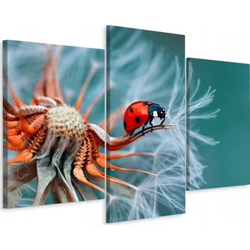 Obraz Obraz TRYPTYCH Beruška Pampeliška Makro 90x60