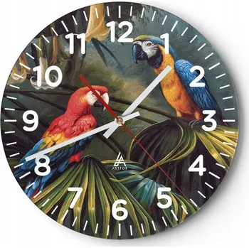 Hodiny Velké nástěnné hodiny 40x40 Papoušek Ara Skleněné hodiny Kulatý Tiché