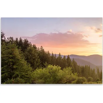 Kuchyňské prkénko Skleněná Ochranná Deska a Krájecí Prkénko | Indukce, Sporák ds-0471