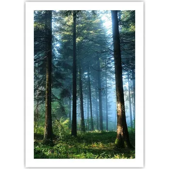 Obraz Plakát bez rámu do obýváku ložnice 50x70 krajina moderní módní obraz