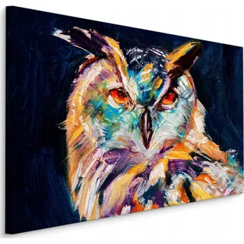 Obraz Obraz na plátně barevná sova pták malířství 70x50