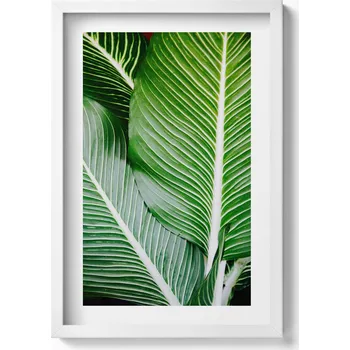 Obraz Dekorativní obraz v bílém rámu na zeď Exotické zelené listy 40x60 cm