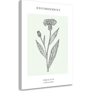 Obraz OBRAZ NA PLÁTNĚ CANVAS Obraz Bodlák (Bodlák) rostlina - Liniové umění 40x60