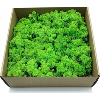 Obraz 500g MECH CHROBOTEK sobí, zelený, NORSKÝ