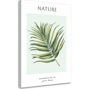 Obraz OBRAZ NA PLÁTNĚ Zelené listy - Příroda CANVAS 60x90