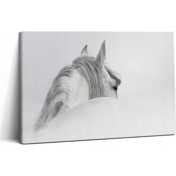 Obraz Fotoobraz na plátně Canvas do jídelny Klasický Andaluský kůň v mlze