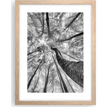 Obraz Obraz plakát v rámu světlý dub do obýváku 30x40 les foto plakáty na zeď