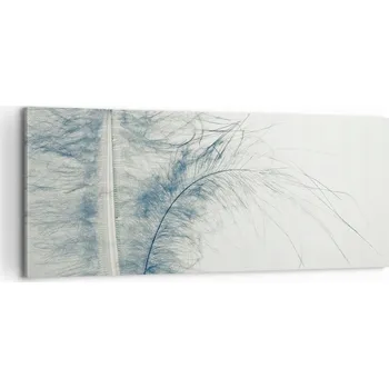 Obraz Foto obraz na plátně canvas 100x40 peří obývací pokoj ložnice na zeď velký