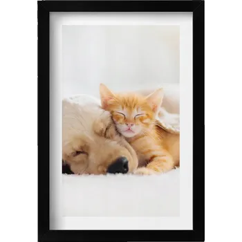 Obraz Dekorativní nástěnný obraz v černém rámu Spící zvířata kočka a pes 20x30 cm