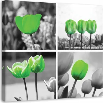 Obraz Obraz na plátně - Plátno, Sada zelených tulipánů