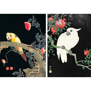 Obraz Plakát Granátové jablko od Ohara Koson Japonsko bez rámu 50 x 70 cm