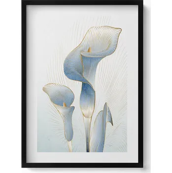 Obraz Nástěnný obraz v černém rámu, dekorace interiéru, Ilustrace květin 50x70 cm