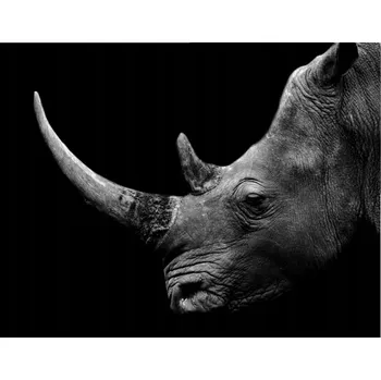 Kuchyňské prkénko Skleněná Ochranná Deska a Krájecí Prkénko | Indukce, Sporák ds-0136