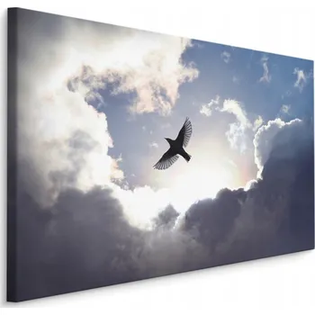 Obraz Obraz pták nebe mraky 3D pohled do jídelny 70x50