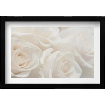 Obraz Dekorativní obraz na zeď do obýváku kuchyně Bílý jemný různý 30x20 cm