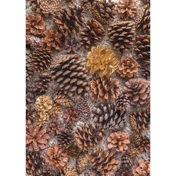 Obraz Plakát Šišky bez rámu 29,7 x 42 cm