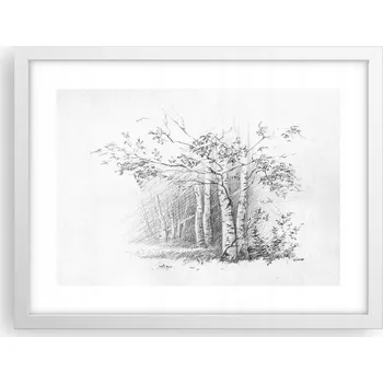 Obraz Obraz plakát v bílém rámu do obýváku 40x30 les foto plakáty na zeď