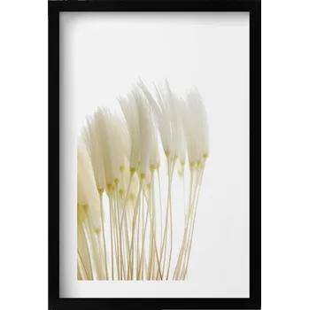 Obraz Dekorativní nástěnný obraz v rámu s grafikou loft Bílé jemné trávy 40x60 cm