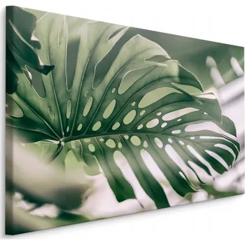 Obraz Nástěnný obraz LIST Monstera Zeleň 3D dekorace 70x50 cm