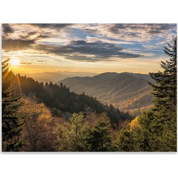 Obraz Skleněná Ochranná Deska a Krájecí Prkénko | Indukce, Sporák ds-0407