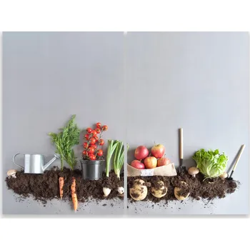 Kuchyňské prkénko Skleněná Ochranná Deska a Krájecí Prkénko | Indukce, Sporák ds-0522