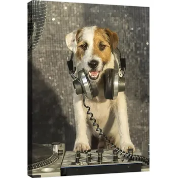 Obraz OBRAZ NA PLÁTNĚ CANVAS 60x80 PES DJ DISCO