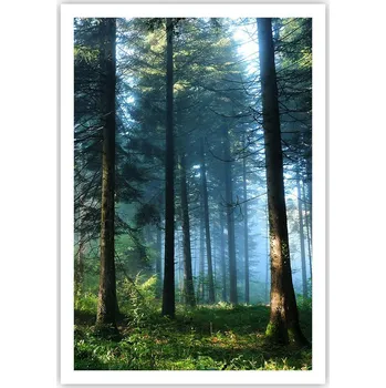 Obraz Plakát na zeď bez rámu 70x100 krajina obraz plakáty do obývacího pokoje ložnice