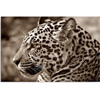 Obraz Obraz na plátně - Canvas, Ocelot 1 40x30