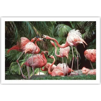 Obraz Obraz plakát do obýváku, ložnice 91x61 plameňáci foto na zeď bez rámu