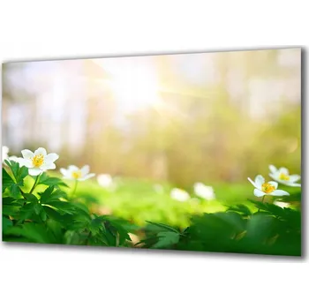 Obraz Obraz na skle Příroda 315903371 100x50