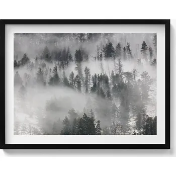Obraz Nástěnný dekorativní foto obraz v černém rámu Krajina mlhavý les 80x60 cm
