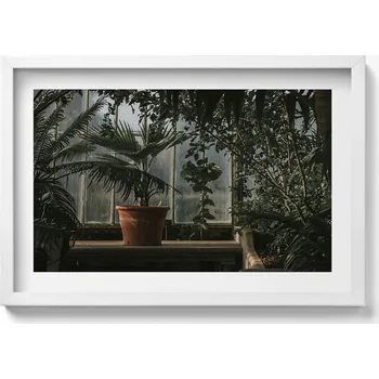 Obraz Dekorativní nástěnný obraz v rámu do obýváku Vintage rostliny v okně 60x40 cm