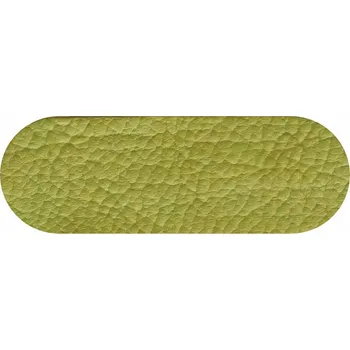 Přípravek pro údržbu obuvi BARVA na kůži Renoskór 480ml WILBRA - seledinová