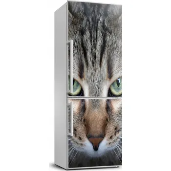 Fototapeta Samolepicí samolepící na ledničku na zeď Oči kočky
