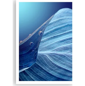 Obraz Plakát na zeď bez rámu 70x100 list foto-obraz plakáty do obývacího pokoje ložnice