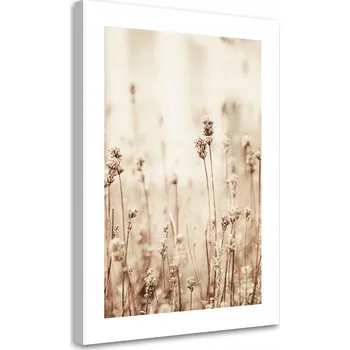 Obraz OBRAZ NA PLÁTNĚ Jemné polní kvítí CANVAS 60x90