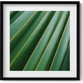 Obraz Obraz v černém rámu nástěnná dekorace Textura zelené rostliny 50x50 cm
