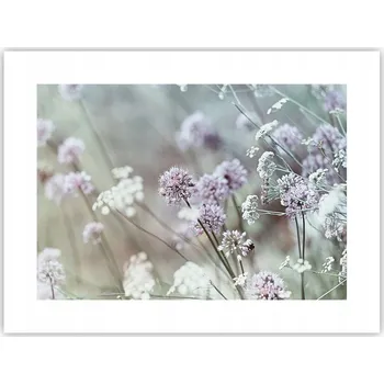 Obraz Obraz plakát do obýváku ložnice 40x30 louka foto plakáty na zeď bez rámu