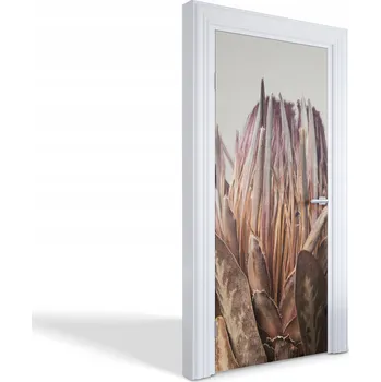 Fototapeta Ochranná Fólie na dveře s ozdobným potiskem Suchý květ protea, 95x205 cm