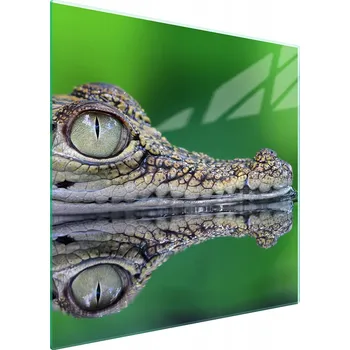 Kuchyňské prkénko Krájecí deska TMK ArtDeko sklo 1 ks